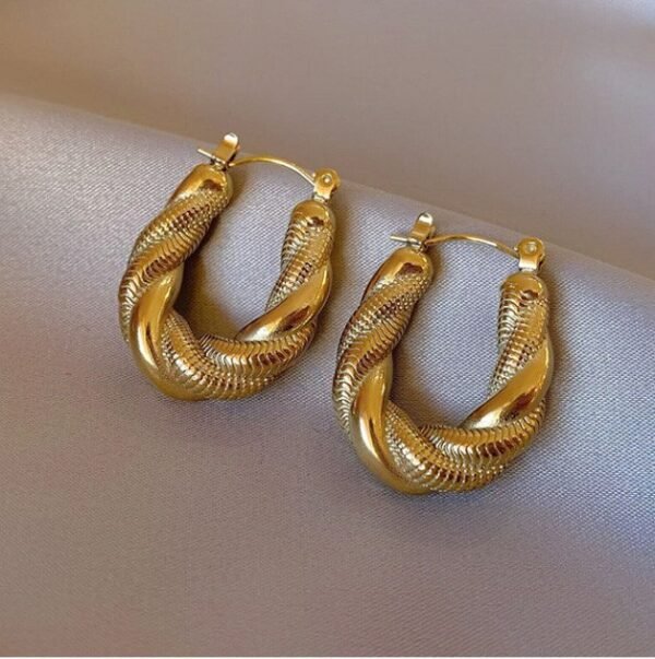 Aretes Cleo