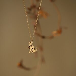 Collar Coral