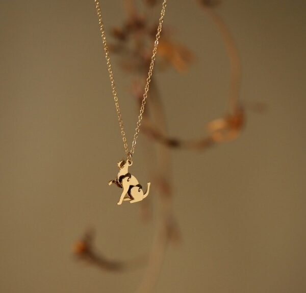 Collar Coral