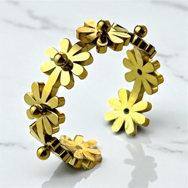Anillo Noa