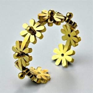 Anillo Lía