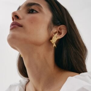 Aretes Alas