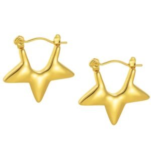 Aretes Estrella